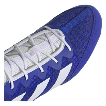 Boxing shoes Adidas Box Hog 4 - white / blue