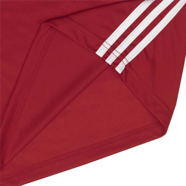Boxing shorts Adidas - red