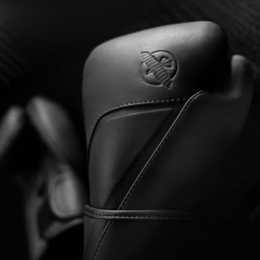Boxerské rukavice Hayabusa E1 Leather - černé