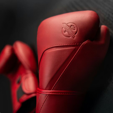 Boxing gloves Hayabusa E1 Leather - red