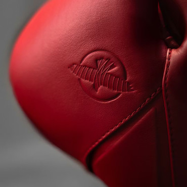 Boxing gloves Hayabusa E1 Leather - red
