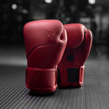 Boxing gloves Hayabusa E1 Leather - red