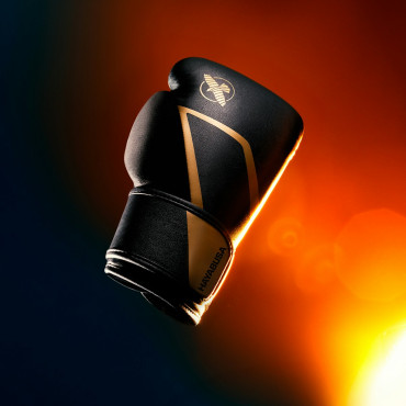 Boxing gloves Hayabusa E1 - black / gold