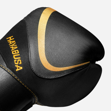 Boxing gloves Hayabusa H5 - black / gold