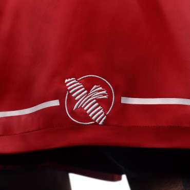Boxing shorts Hayabusa Pro Boxing - red