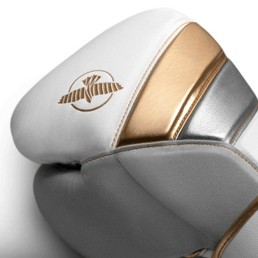 Boxing gloves Hayabusa T3 - white / gold 