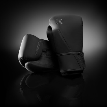 Boxing gloves Hayabusa T360 - black