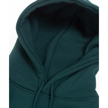 Hoodie NBNL Championship - green