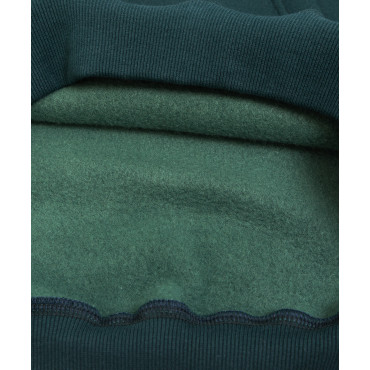 Hoodie NBNL Championship - green