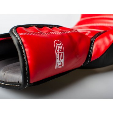 Boxing gloves Paffen Sport ECO - black