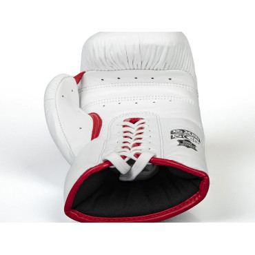 Boxerské rukavice Paffen Sport «PRO HEAVY HITTER» - bílé