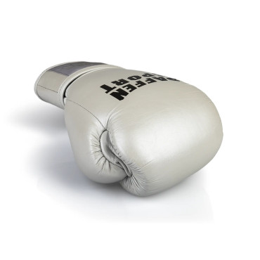 Boxing gloves Paffen Sport PRO KLETT X - silver
