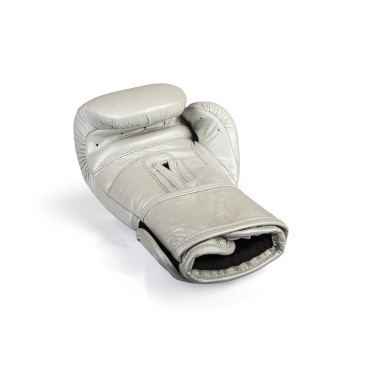Boxing gloves Paffen Sport PRO KLETT X - silver