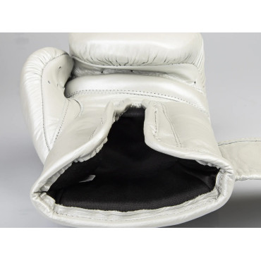 Boxing gloves Paffen Sport PRO KLETT X - silver