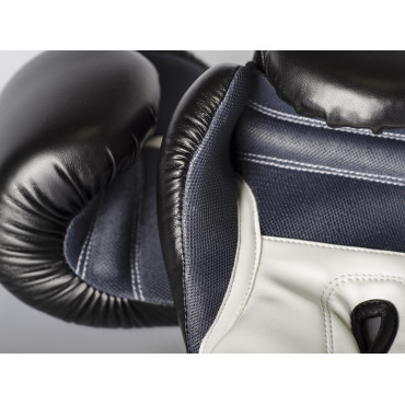 Boxing gloves Paffen Sport Fit - black