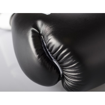 Boxing gloves Paffen Sport Fit - black