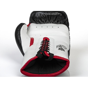 Boxerské rukavice Paffen Sport «PRO HEAVY HITTER»