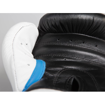 Boxing gloves Paffen Sport "GEL" - black / white