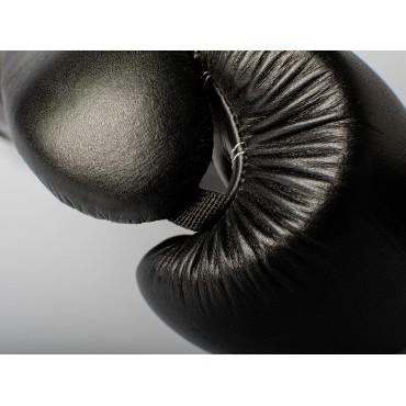 Boxing gloves Paffen Sport KIBO FIGHT - black