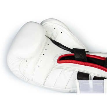 Boxing gloves Paffen Sport PRO SPEED - white 