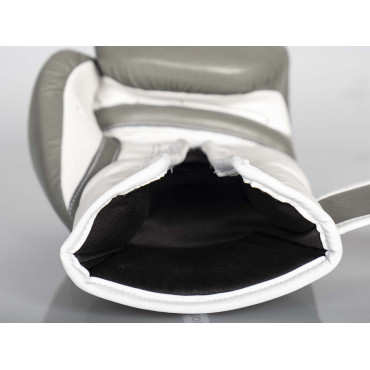 Boxing gloves Paffen Sport PRO KLETT - gray / white