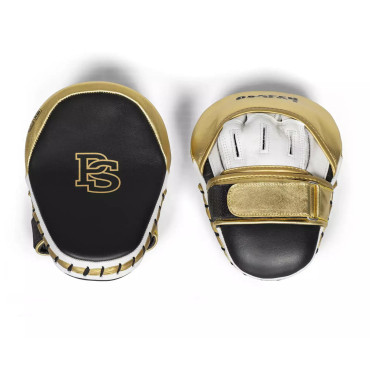 Boxing mitts Paffen Sport PRO - gold / black