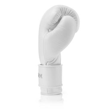 Boxing gloves Phenom SG-210S - white