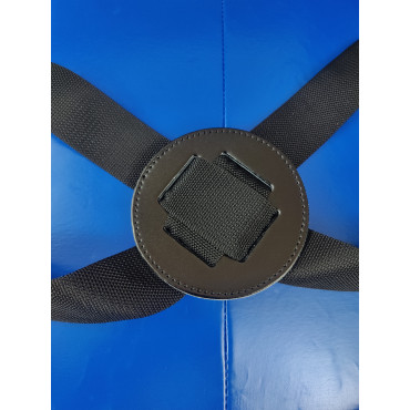 Combination Bag for trainers Winning - blue