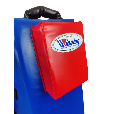 Combination Bag for trainers Winning - blue
