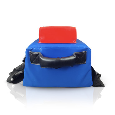 Combination Bag for trainers Winning - blue