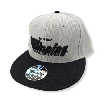 Cap Winning Snapback - grey / black