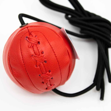 Reflective boxing ball Winning - small