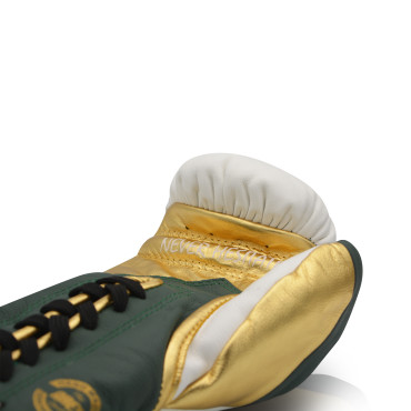 Boxing gloves Ares Speciale - white / green