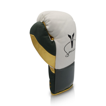 Boxing gloves Ares Speciale - white / green