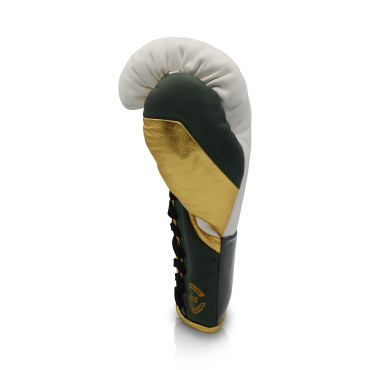Boxing gloves Ares Speciale - white / green