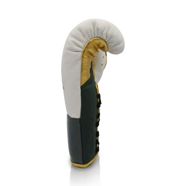 Boxing gloves Ares Speciale - white / green