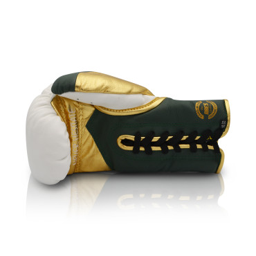 Boxing gloves Ares Speciale - white / green