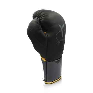 Boxing gloves Ares Speciale - black / gold
