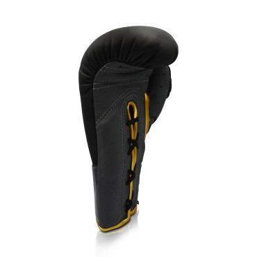 Boxing gloves Ares Speciale - black / gold