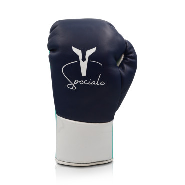 Boxing gloves Ares Speciale - blue / white