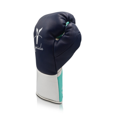 Boxing gloves Ares Speciale - blue / white