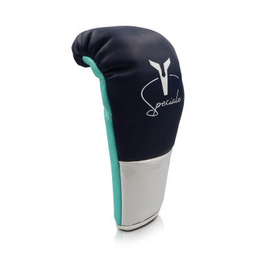 Boxing gloves Ares Speciale - blue / white