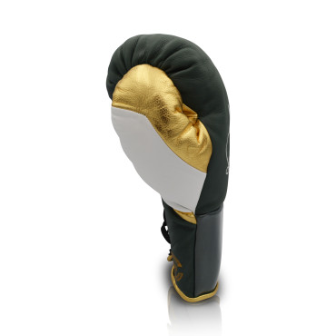 Boxing gloves Ares Speciale - green / gold