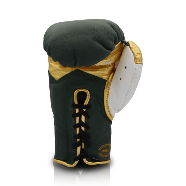 Boxing gloves Ares Speciale - green / gold