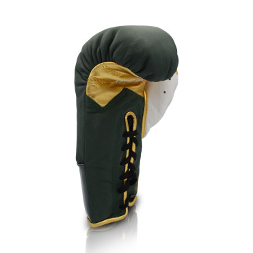 Boxing gloves Ares Speciale - green / gold