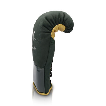 Boxing gloves Ares Speciale - green / gold