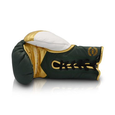 Boxing gloves Ares Speciale - green / gold