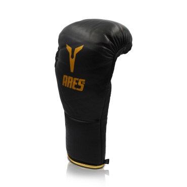 Boxing Gloves Ares Athena - black / gold