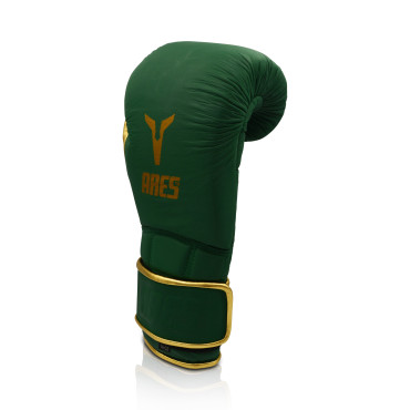 Boxing gloves Ares Kratos - green / gold
