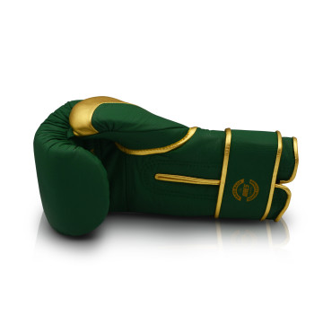 Boxing gloves Ares Kratos - green / gold